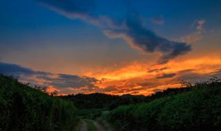 日落西山红霞飞歌词