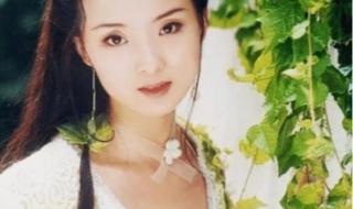 王艳电视剧 王艳电视剧